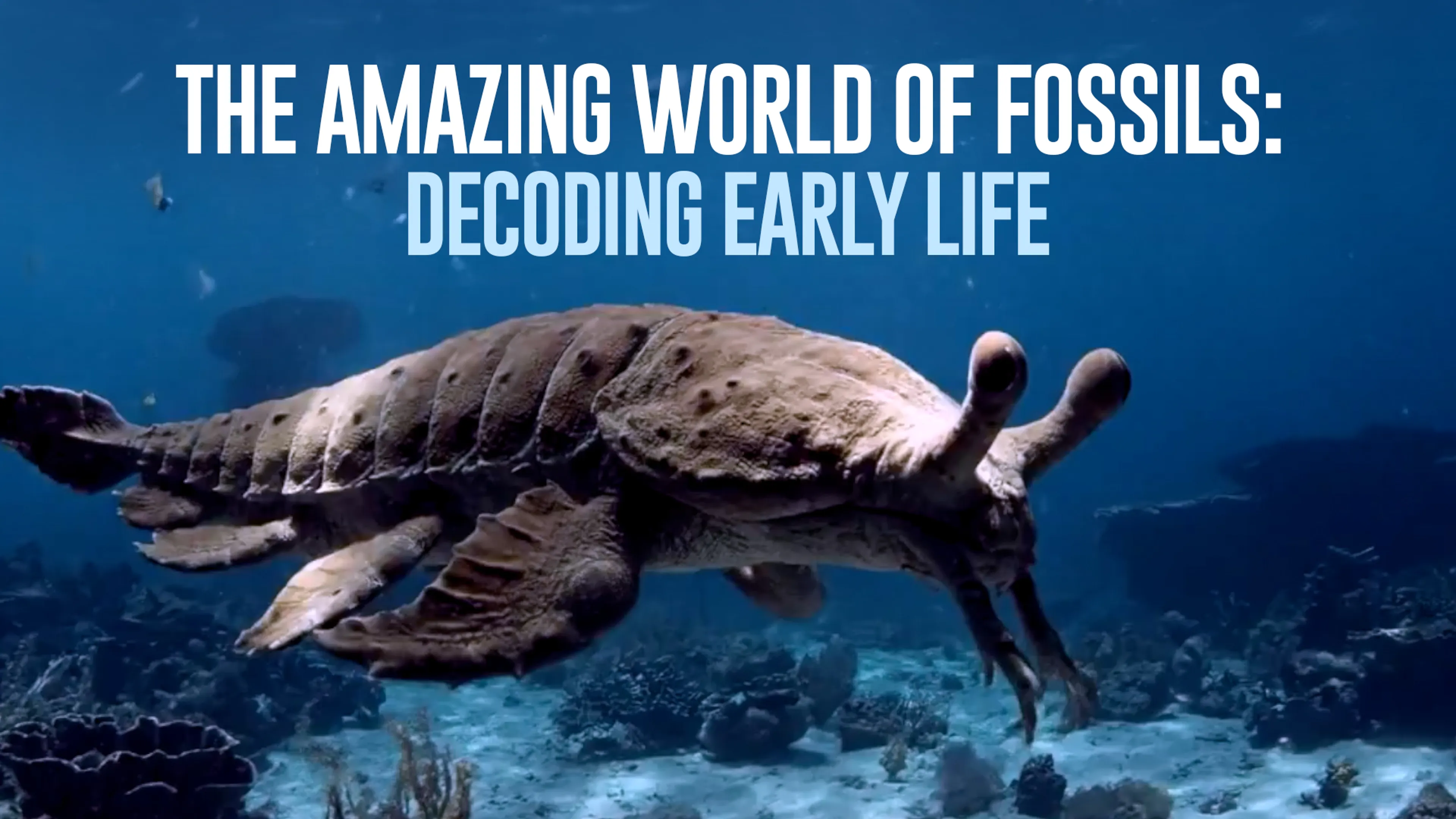 The Amazing World of Fossils: Decoding Early Life poster
